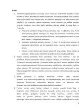 Airijos ir Lietuvos valdžios palyginimas 8 puslapis