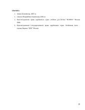 Airijos ir Lietuvos valdžios palyginimas 10 puslapis