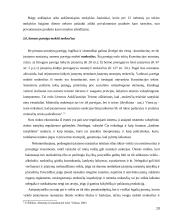 Asmens konstitucinės pareigos 13 puslapis