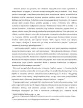 Asmens konstitucinio statuso įtvirtinimas LR Konstitucijoje 10 puslapis