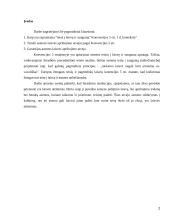 Asmens teisė į saugumą 2 puslapis