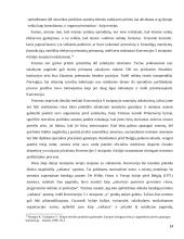 Asmens teisė į saugumą 14 puslapis