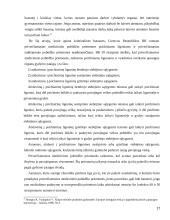 Asmens teisė į saugumą 17 puslapis