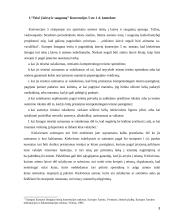 Asmens teisė į saugumą 3 puslapis