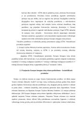 Europos žmogaus teisių teismas (jo kompetencija ir jurisdikcija) 11 puslapis