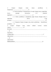 Europos žmogaus teisių teismas (jo kompetencija ir jurisdikcija) 20 puslapis