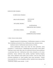 Konstitucinio teismo vieta valdžios sistemoje 6 puslapis