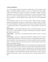 Lygių galimybių institucijų plėtra ES 2 puslapis