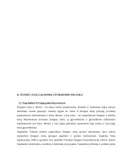 Lygių galimybių institucijų plėtra ES 15 puslapis