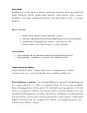 Lygių galimybių institucijų plėtra ES 3 puslapis