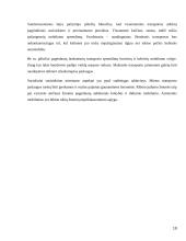 Norminių ir teisės taikymo aktų leidybos procesas 19 puslapis