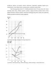 Gamybos kaštai ir jų struktūra 12 puslapis