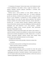 Teisių į gynybą principai 11 puslapis