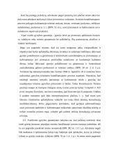 Teisių į gynybą principai 17 puslapis