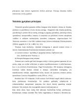 Teisių į gynybą principai 4 puslapis