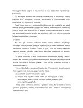 Teisių į gynybą principai 5 puslapis