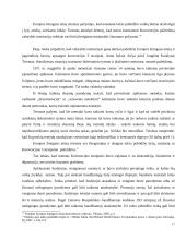 Asmens sulaikymo taktikos pagrindai 17 puslapis