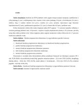 Bendras programavimo dokumentas ir jo įgyvendinimo ypatybės Lietuvoje 2 puslapis