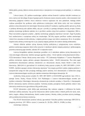 Bendras programavimo dokumentas ir jo įgyvendinimo ypatybės Lietuvoje 11 puslapis