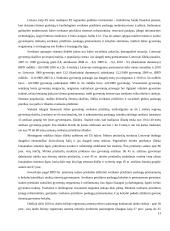 Bendras programavimo dokumentas ir jo įgyvendinimo ypatybės Lietuvoje 13 puslapis