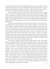 Bendras programavimo dokumentas ir jo įgyvendinimo ypatybės Lietuvoje 20 puslapis