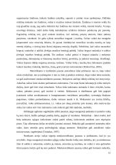 Muzikos mokymosi motyvacija ir poreikis 12 puslapis