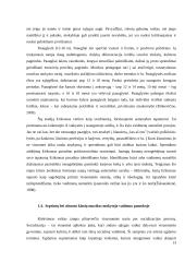 Muzikos mokymosi motyvacija ir poreikis 13 puslapis