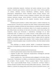 Muzikos mokymosi motyvacija ir poreikis 17 puslapis