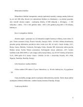 Ekonominės geografijos reikšmė ekonomikos procesų studijose 4 puslapis