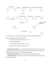 Individualaus gyvenamojo namo Gudelių g. nr. 35, Vilniuje, projektas 16 puslapis