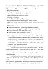 Individualaus gyvenamojo namo Gudelių g. nr. 35, Vilniuje, projektas 4 puslapis