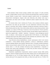 Informacinių technologijų auditas MG Logistics įmonėje 2 puslapis