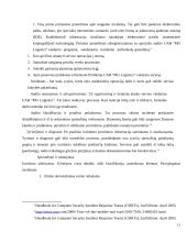 Informacinių technologijų auditas MG Logistics įmonėje 11 puslapis