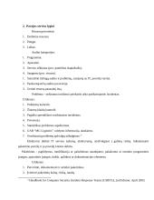 Informacinių technologijų auditas MG Logistics įmonėje 12 puslapis