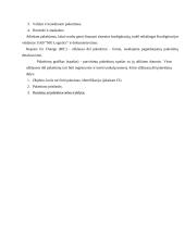 Informacinių technologijų auditas MG Logistics įmonėje 13 puslapis