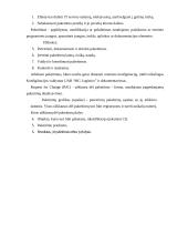 Informacinių technologijų auditas MG Logistics įmonėje 18 puslapis