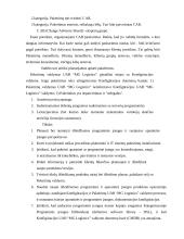 Informacinių technologijų auditas MG Logistics įmonėje 20 puslapis