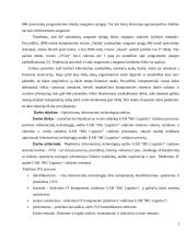 Informacinių technologijų auditas MG Logistics įmonėje 3 puslapis