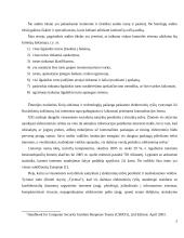 Informacinių technologijų auditas MG Logistics įmonėje 5 puslapis