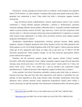 Informacinių technologijų auditas MG Logistics įmonėje 7 puslapis