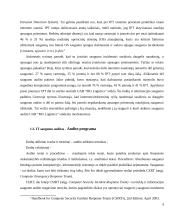 Informacinių technologijų auditas MG Logistics įmonėje 9 puslapis