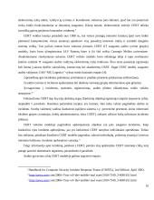 Informacinių technologijų auditas MG Logistics įmonėje 10 puslapis