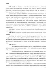 Informacinės visuomenės kūrimo strateginės nuostatos ir raida Europos Sąjungoje 2 puslapis