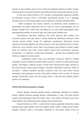 Informacinės visuomenės kūrimo strateginės nuostatos ir raida Europos Sąjungoje 13 puslapis