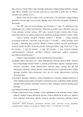 Informacinės visuomenės kūrimo strateginės nuostatos ir raida Europos Sąjungoje 17 puslapis