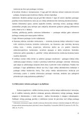 Informacinės visuomenės kūrimo strateginės nuostatos ir raida Europos Sąjungoje 18 puslapis