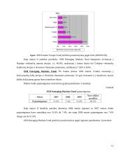Investicinių fondų veikla Lietuvoje ir Latvijoje 12 puslapis