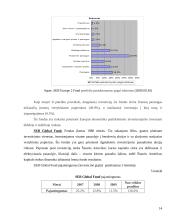 Investicinių fondų veikla Lietuvoje ir Latvijoje 14 puslapis