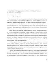 Investicinių fondų veikla Lietuvoje ir Latvijoje 3 puslapis