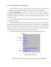 Investicinių fondų veikla Lietuvoje ir Latvijoje 10 puslapis